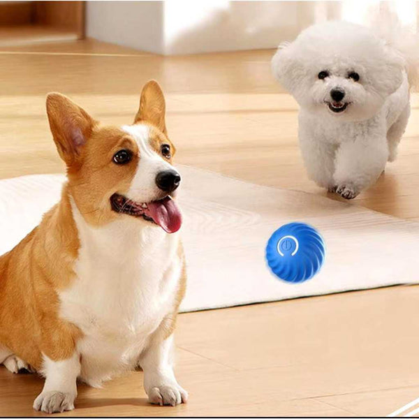 Brinquedo Elétrico Automático Bola Giratória para Gatos e Cães – Treinamento e Diversão